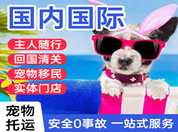 黄花机场快运国际宠物托运 【国